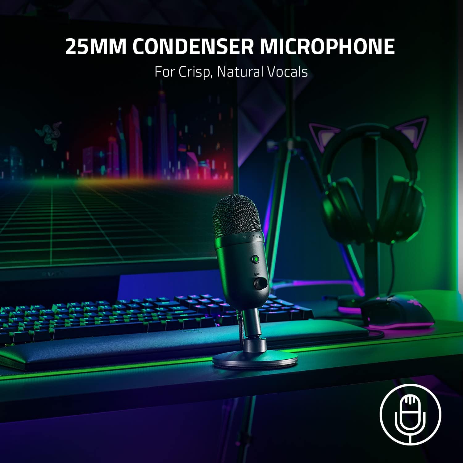 Razer Seiren V2 X USB Streaming Microphone